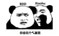 BDDXiaohu你会玩个人塞恩 - RNG 牛逼