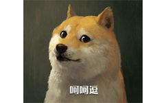 呵呵逗 - doge最新装逼表情