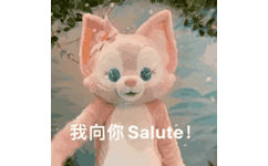 我向你Salute!