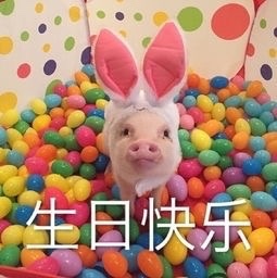 生日快乐 - 【生日快乐】表情包合集