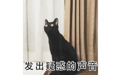 发出疑惑的声音 - 小猫惊恐表情