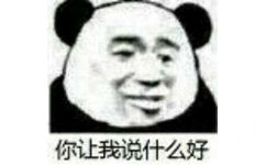 你让我说什么好