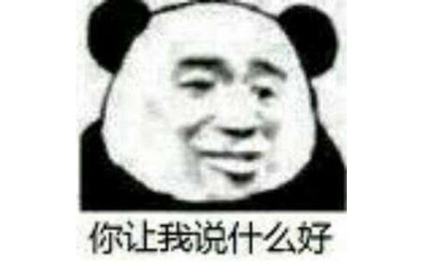 你让我说什么好