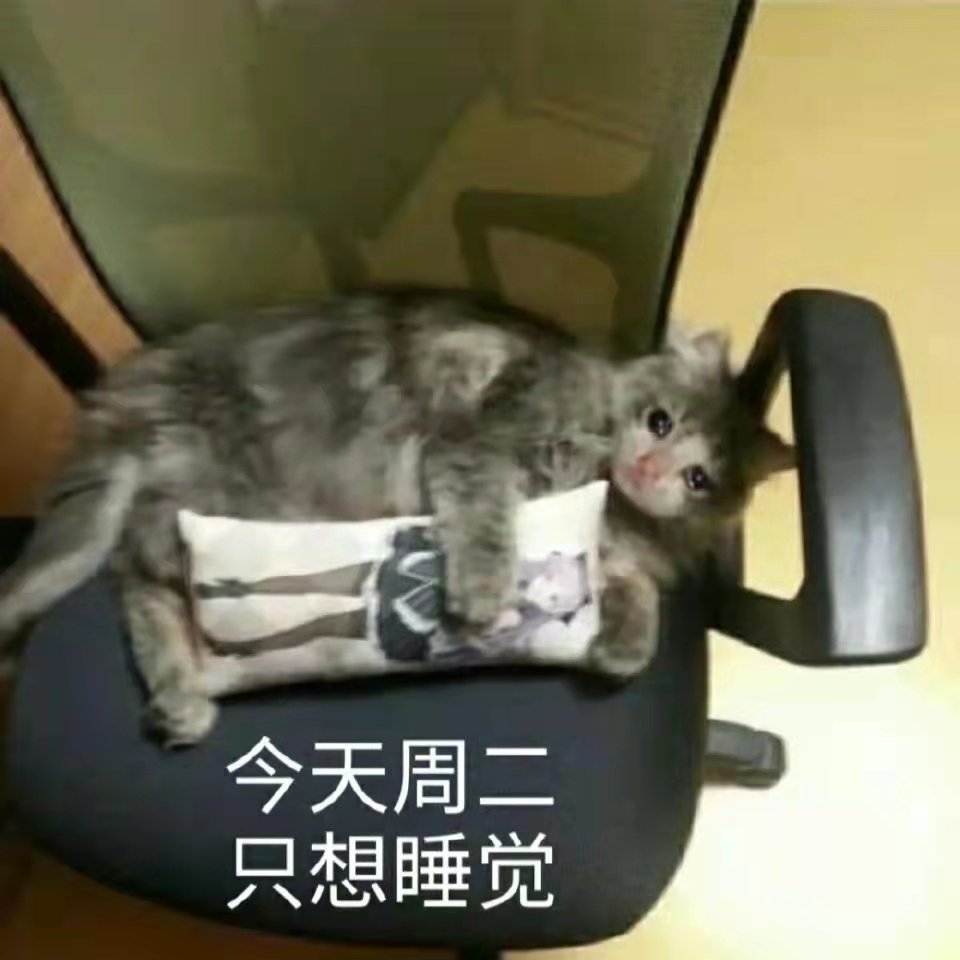 今天周二只想睡觉(猫猫上班表情包)