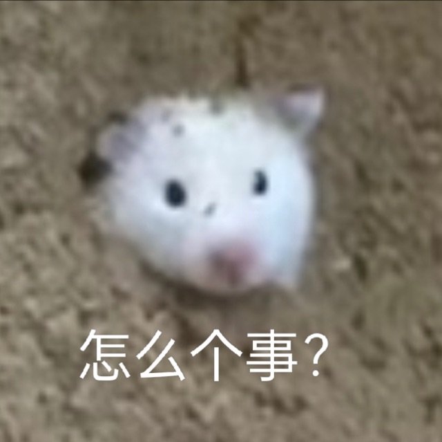 怎么个事？