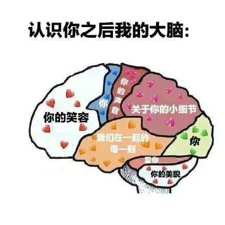 认识你之后我的大脑:你你的声音关于你的小细节你的笑容我们在一起的你每一刻爱你你的美貌