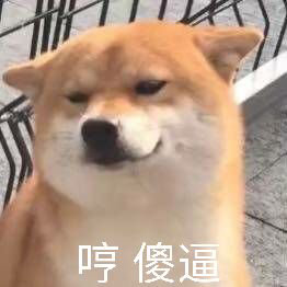 哼傻逼(doge 狗子)