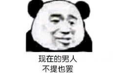 现在的男人不提也罢(熊猫头表情包)