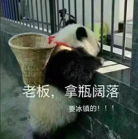 老板,拿瓶阔落要冰镇的!!! - 熊猫滚滚的表情包