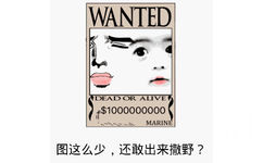 图这么少，还敢出来撒野？（wanted）