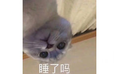 睡了吗 - 一组猫咪表情包 吸猫