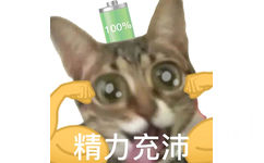 100%精力充沛