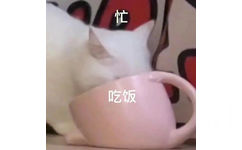 忙吃饭