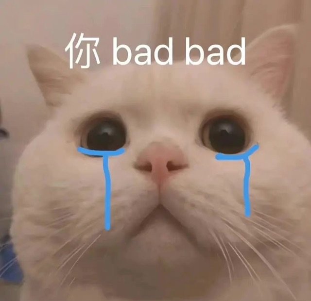 你bad bad (你坏坏 流泪猫表情包)