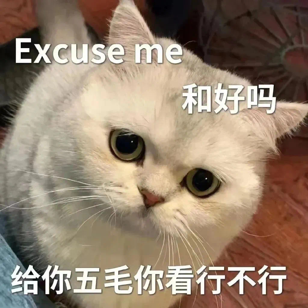 Excuse me 和好吗给你五毛你看行不行 - 猫咪哭泣流泪猫猫头表情包 ​