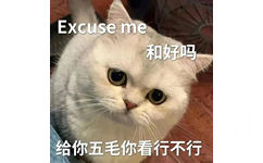 Excuse me 和好吗给你五毛你看行不行 - 猫咪哭泣流泪猫猫头表情包 ​