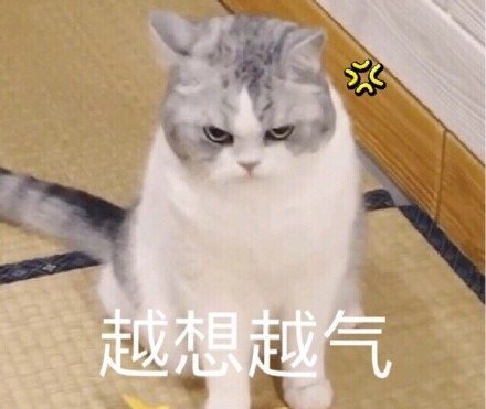 越想越气(猫咪表情包)