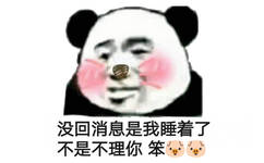 没回消息是我睡着了，不是不理你  笨猪猪