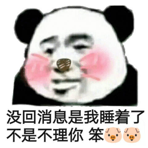 没回消息是我睡着了，不是不理你  笨猪猪