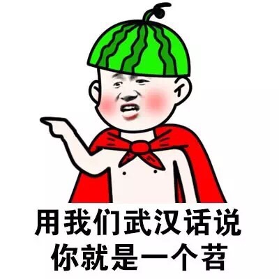 用我们武汉话说，你就是一个苕 - 你就是一个索嗨（方言系列）