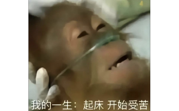 我的一生：起床开始受苦