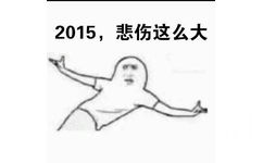 2015，悲伤这么大 - 2015即将过去，可是我....