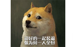 说好的一起装逼，你为何一人全包 - doge最新装逼表情