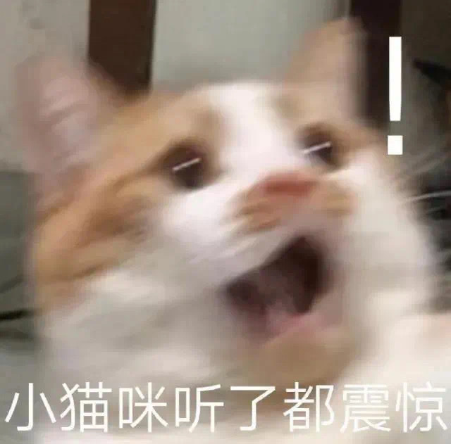 小猫咪听了都震惊(猫猫表情包)