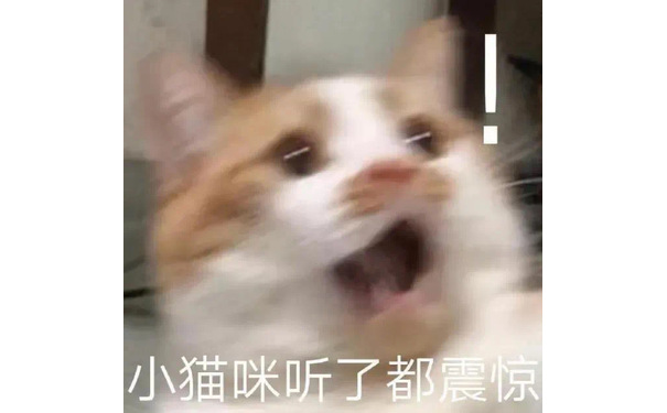 小猫咪听了都震惊(猫猫表情包)