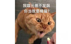 我噬元兽不发飙，你当我是橘猫？ - 《惊奇队长》 噬元兽橘猫表情包