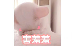 害羞羞（猫咪表情包）