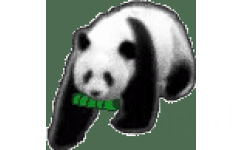 熊猫动图表情包 - 小动物透明底动图表情包