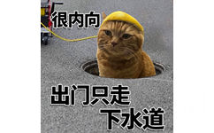 很内向出门只走下水道 - 很内向很外向猫猫表情包