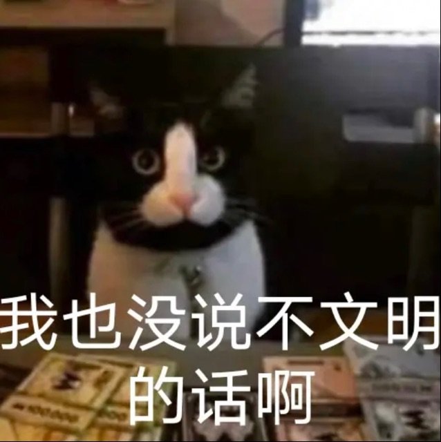 我也没说不文明的话啊(猫猫表情包)