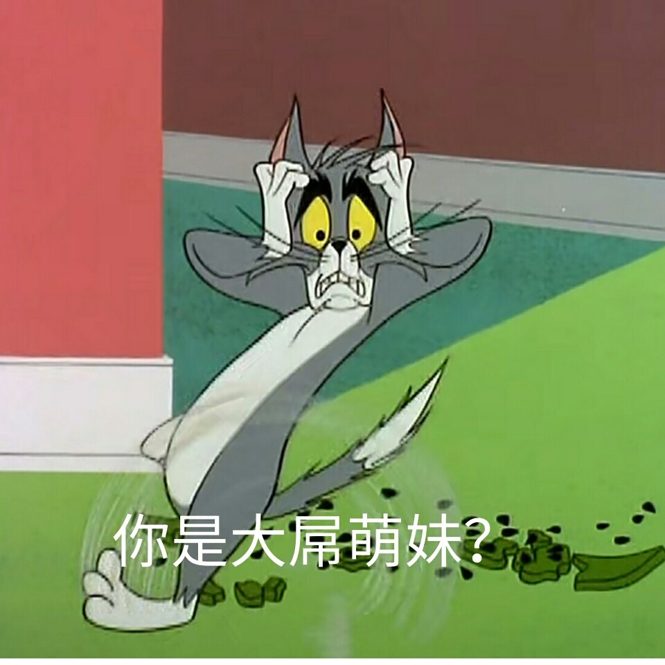 你是大屌萌妹？ - 猫和老鼠表情包 ​