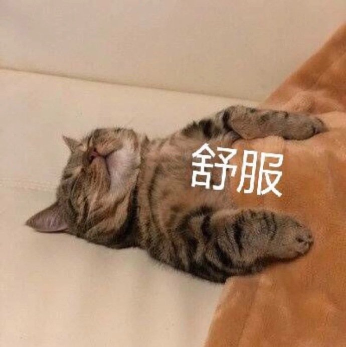 舒服(猫咪表情包)