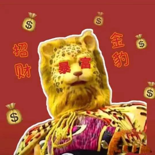 $$$财暴富金豹$$(金钱豹头像)