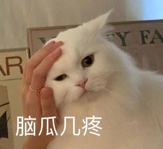 脑瓜几疼(猫猫表情包)