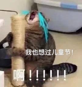 我也想过儿童节啊（猫咪）