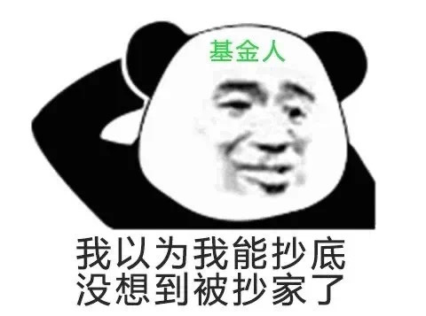 基金人我以为我能抄底没想到被抄家了