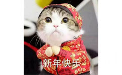 新年快天(猫咪)