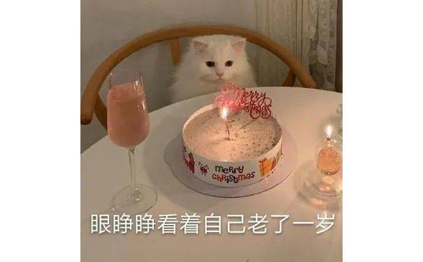 meRry 眼睁睁看着自己老了一岁(猫咪生日快乐表情包)