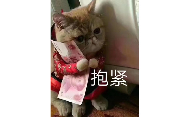 猫咪抱紧钱