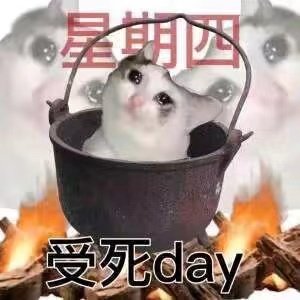 星期四受死day(猫猫表情包)