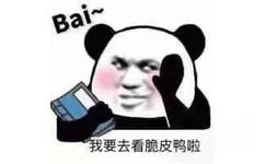 bai 拜拜 我要去看脆皮鸭啦