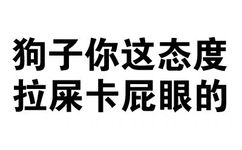 儿子你这态度，拉屎卡屁眼的！ - 斗图纯文字表情包