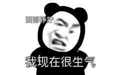 面部狰狞我现在很生气 - 熊猫头无水印表情包