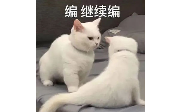 编继续编(猫咪表情包)