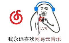 LV9永喜欢网易云音乐