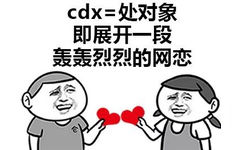 cdx=处对象，即展开一段轰轰烈烈的网恋 - 学会了05后的表达方式！ ​